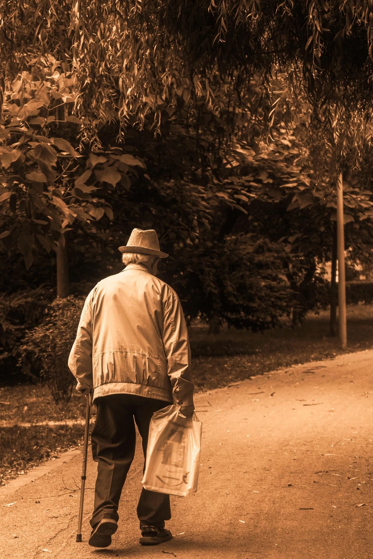 vieil homme promenade conseillere accompagnatrice senior horizon doré